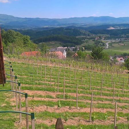 Vineyard Cottage Lustek Ново-Место Экстерьер фото