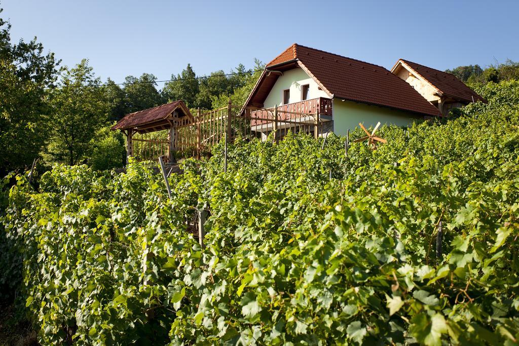 Vineyard Cottage Lustek Ново-Место Экстерьер фото