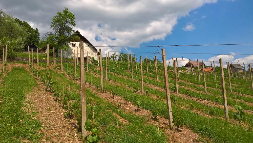 Vineyard Cottage Lustek Ново-Место Экстерьер фото