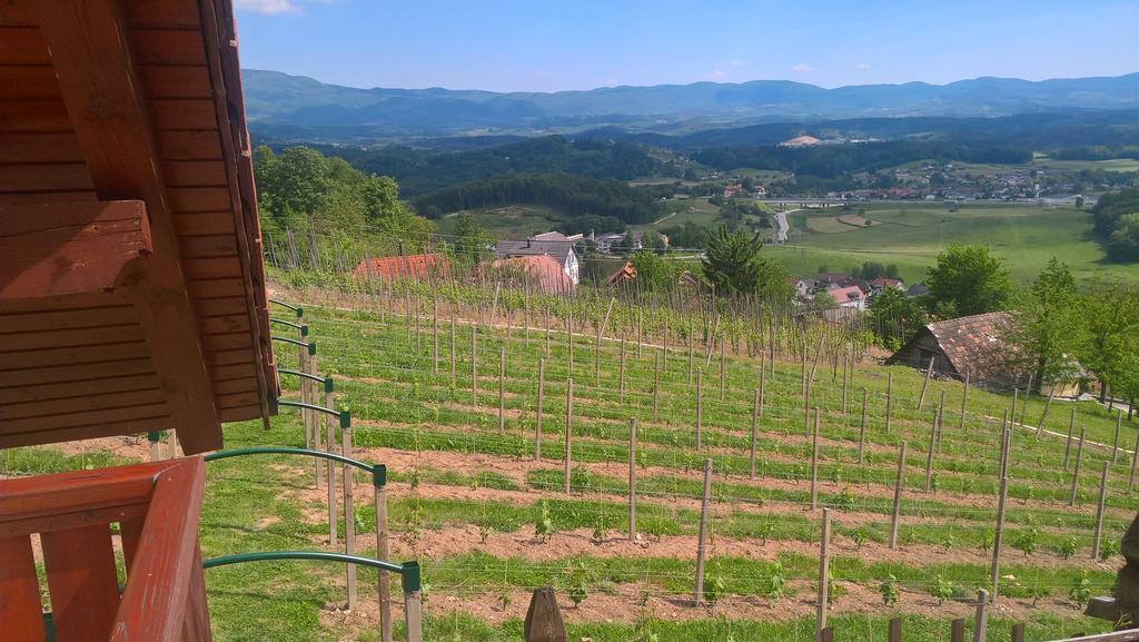 Vineyard Cottage Lustek Ново-Место Экстерьер фото
